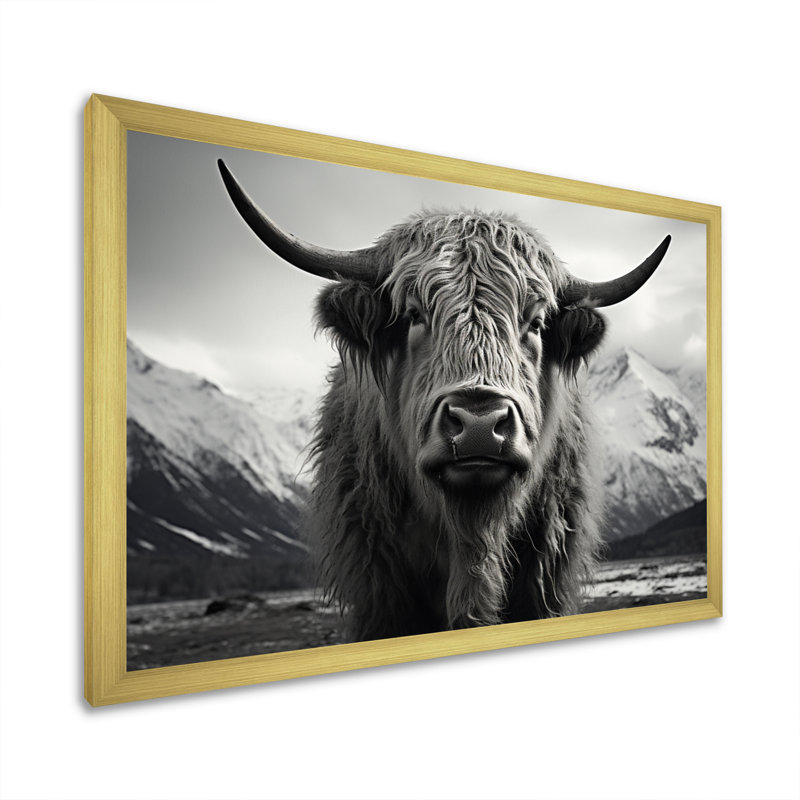 Portrait de yaks noir et blanc IV encadré sur toile, H 34 po x l 44 po x P 1,5 po, Or