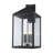 Pericles Iron Wall Light