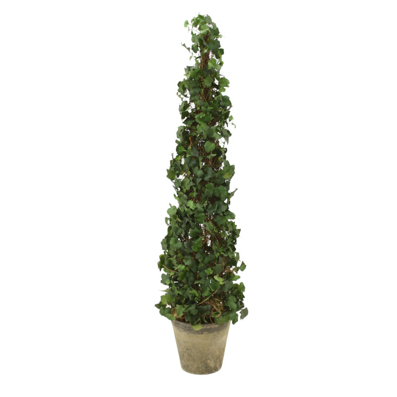 Ivy Topiary in Aged Stone Planter
