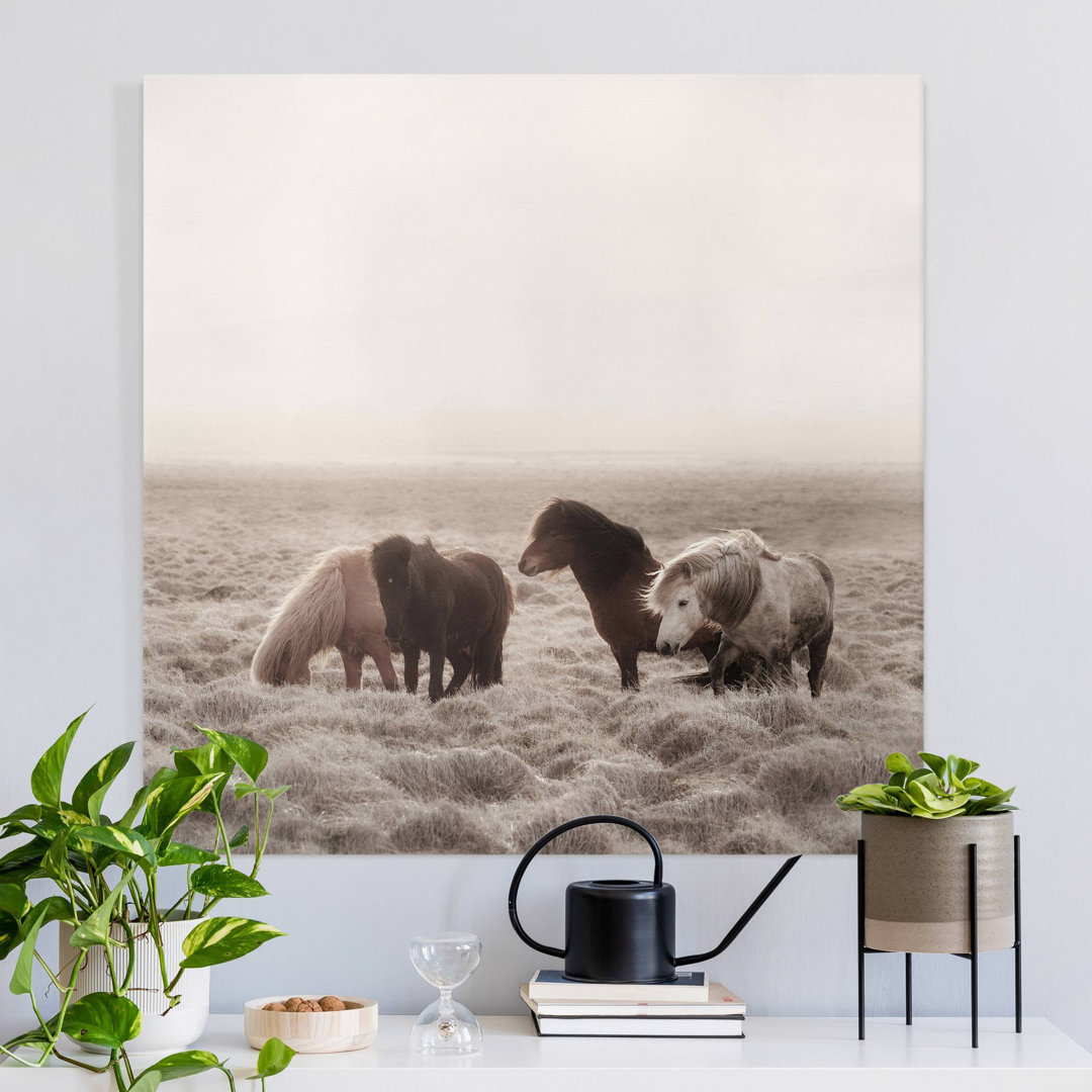 Leinwandbild Icelandic Wild Horses von Monika Strigel