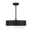 Jeromy 24" 4-Light Fandelier with Remote Control-234014135