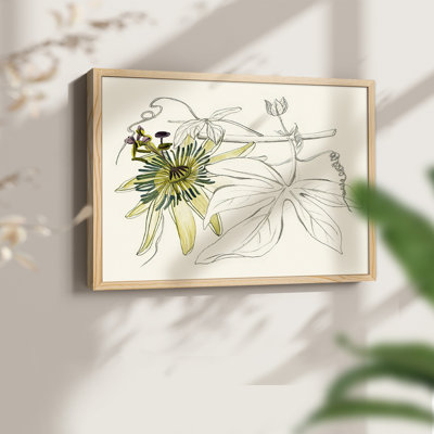 Passiflore I - reproduction encadrée - réarmable