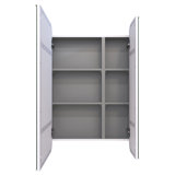 Recessed Frameless Dual Door Medicine Cabinet with Adjustable Shelves