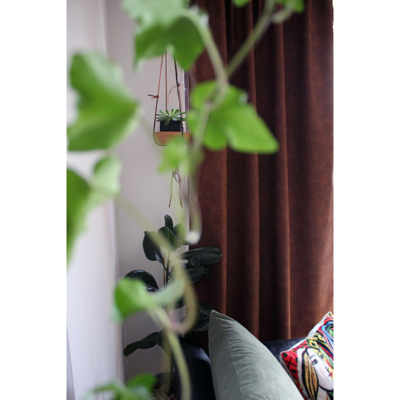 Irwinton Velvet Blackout Pair, Width 147 x Drop 300cm