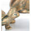 Tortoise Family Resin Garden Accents Statue