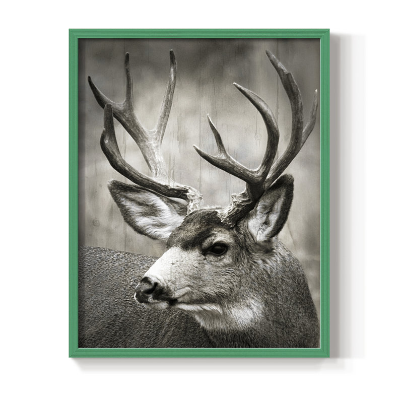 «Focused Buck», reproduction encadrée - bois massif, H 21 po x l 17 po, Vert