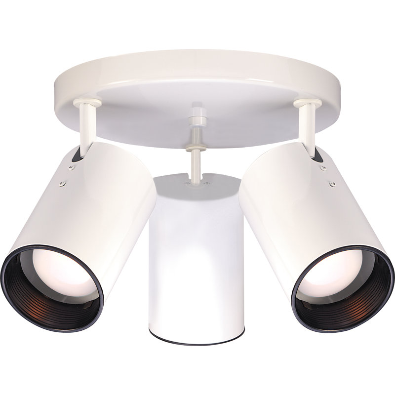 Projecteur directionnel à 3 lumières 14 po Chabot