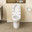 Toilette allongée une pièce à hauteur standard 17,5 po à chasse double Siphonic (siège inclus)-125361179-125361177