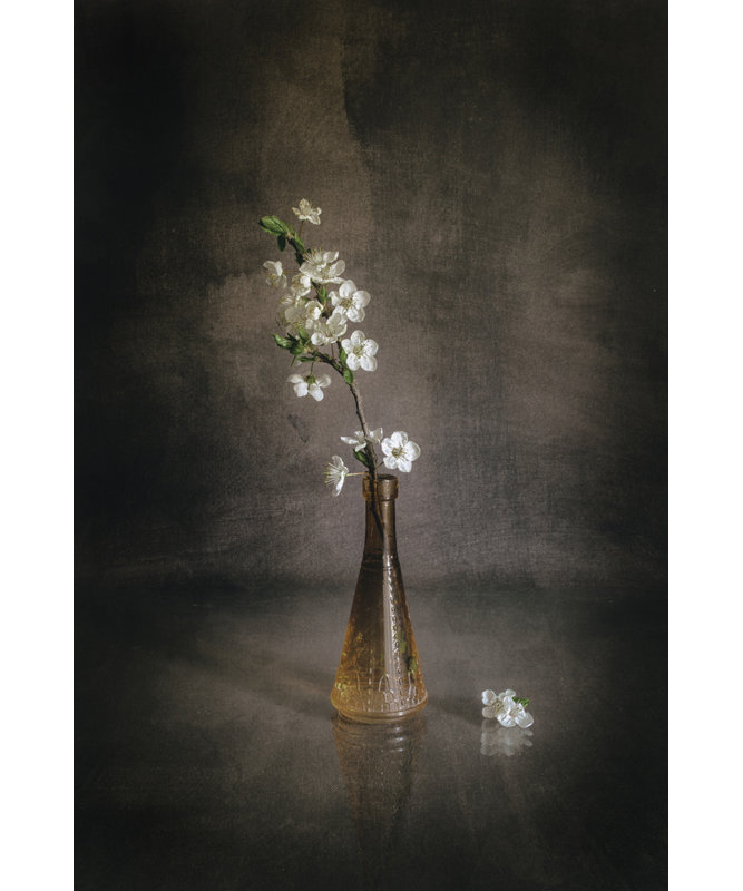 Wrapped Canvas Print, 81.28 cm H x 121.92 cm W
