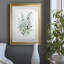 Delicate Blue Botanical I - peinture encadrée-235617296-235617299