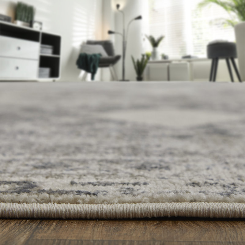 Rohon Performance Oriental Indoor Rug, Rectangle 4'3" x 6'3"