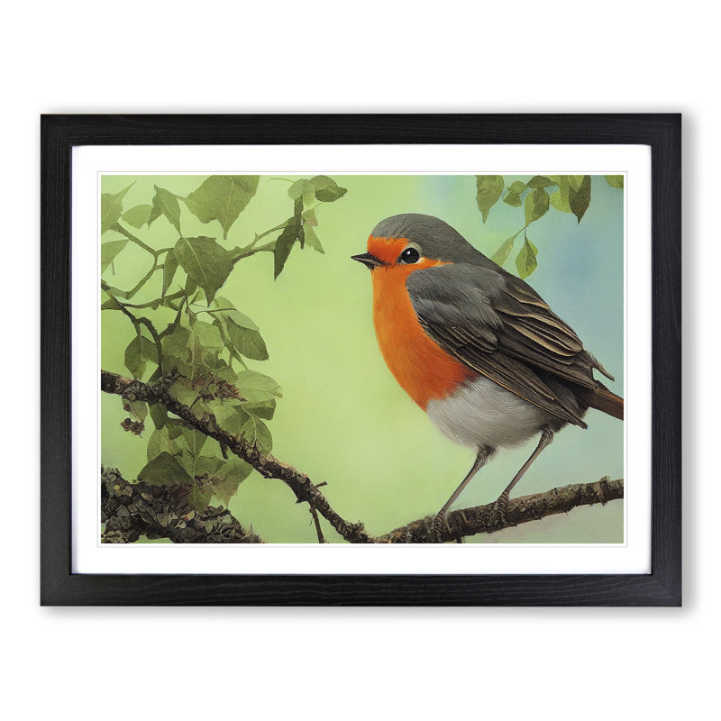 Magnetic Robin Bird - Framed Print, Black, 46cm H x 64cm W x 2cm D