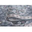 Hoban Oriental Scroll Grey Indoor Area Rug for Living Room, Bedroom, Dining Room-28785140