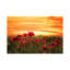 Red by Marco Carmassi - Wrapped Canvas Print-330388456