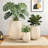 Lightweight Round MGO Outdoor Planter Set-3 Sizes, Durable and Weather-Resistant for Indoor and Outdoor Use with Drainage Holes-1157635492