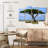 Acacia Tree In Savannah-817386514