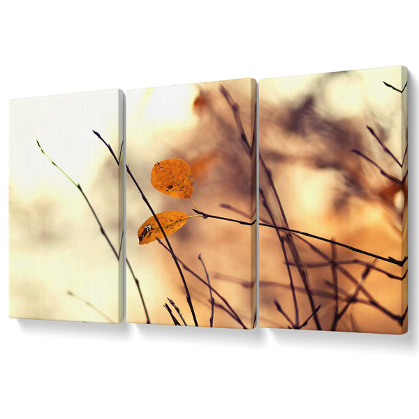 Ebern Designs Winter Tree - 3 Piece Wrapped Canvas Graphic Art ...