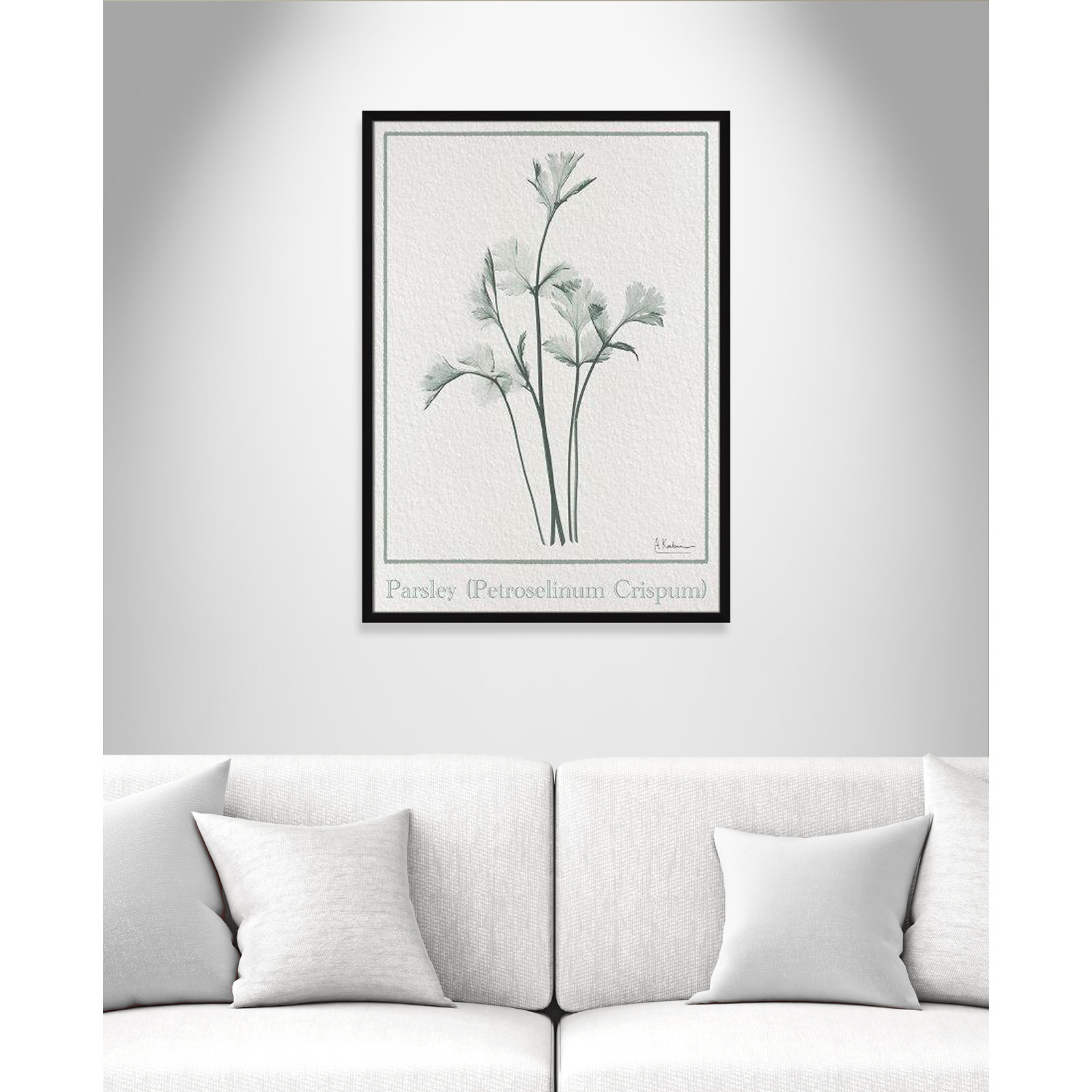 Jeanette "Parsley II" Print by Albert Koetsier, 35.5" H x 25.5" W x 1.25" D, Black Framed Paper