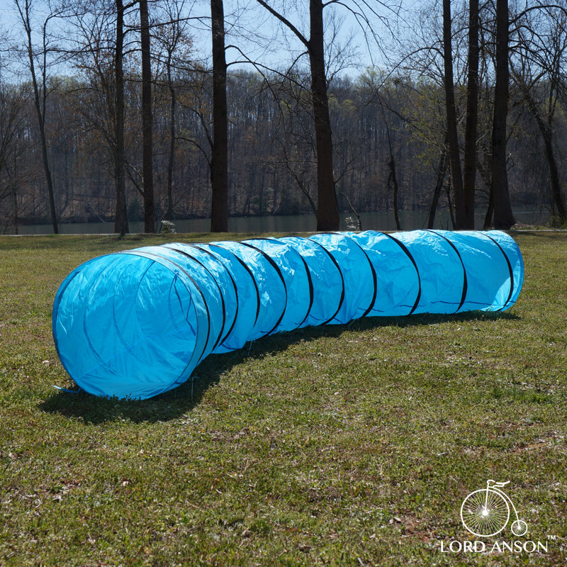 Adjustable Blue Dog Agility Training Set with Tunnel and Poles