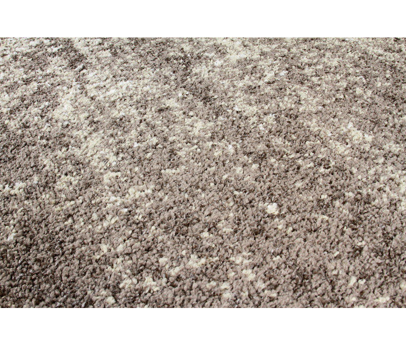 Mcginn Indoor Rug