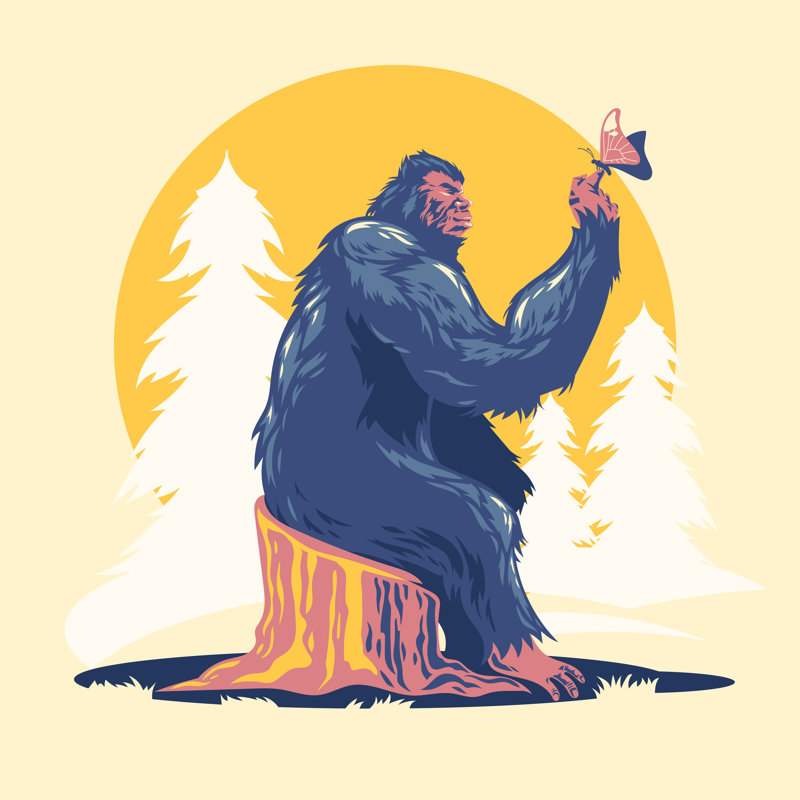 «Sit Bigfoot Or Sasquatch Play with Butterfly», illustration sur toile par Kupirz, H 30 po x l 30 po x P 1,25 po