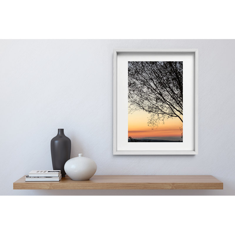 Sunset Tree Print by Joseph Regan, White, 16" H x 14" W x 0.75" D