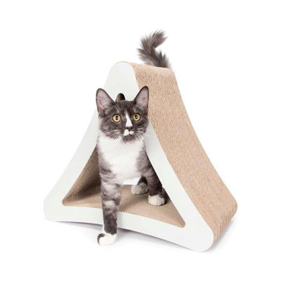 Einstein Scratching Post