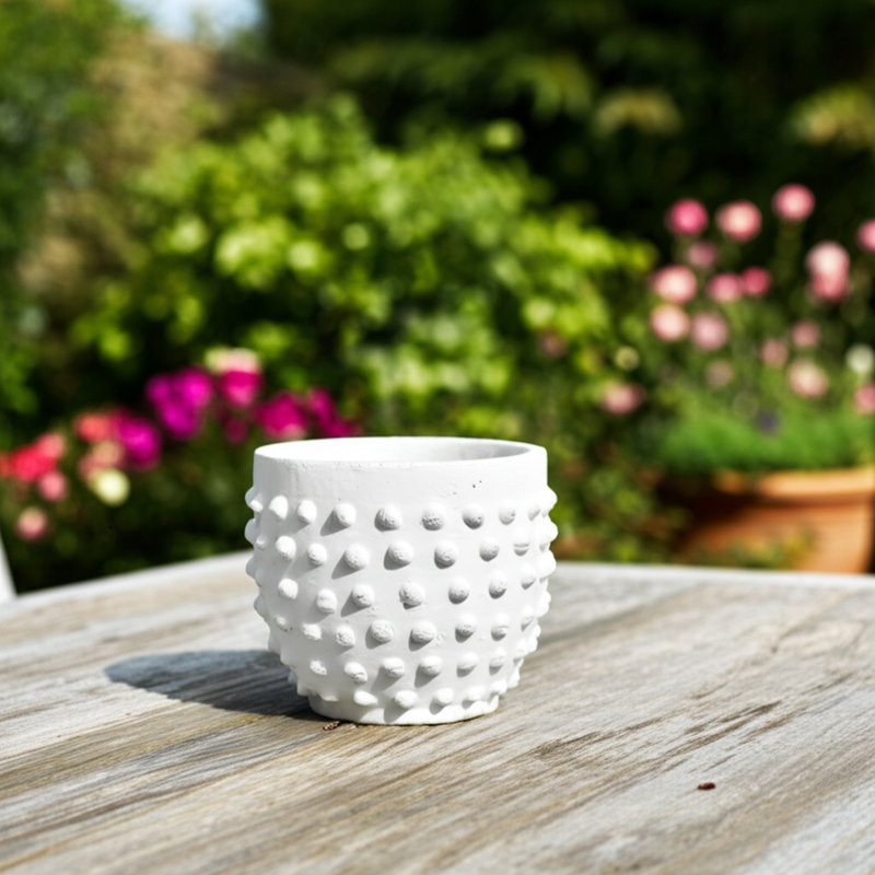 Planter Terracotta Raised Dot Texture For Home Or Garden Use - 6" White