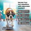 Diner pour animaux Dinahlee-13945744
