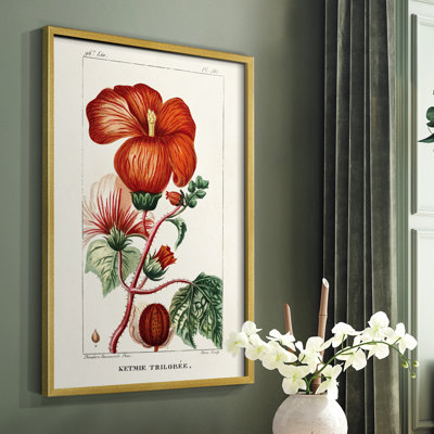 Reproduction encadrée Turpin Tropical Botanicals VII - bois massif