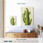 Cactus de cour avant Harnek II-108427005