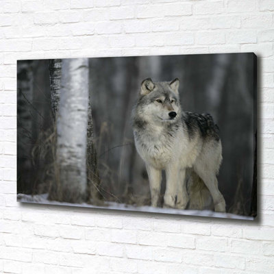 Gray Wolf - Wrapped Canvas Print