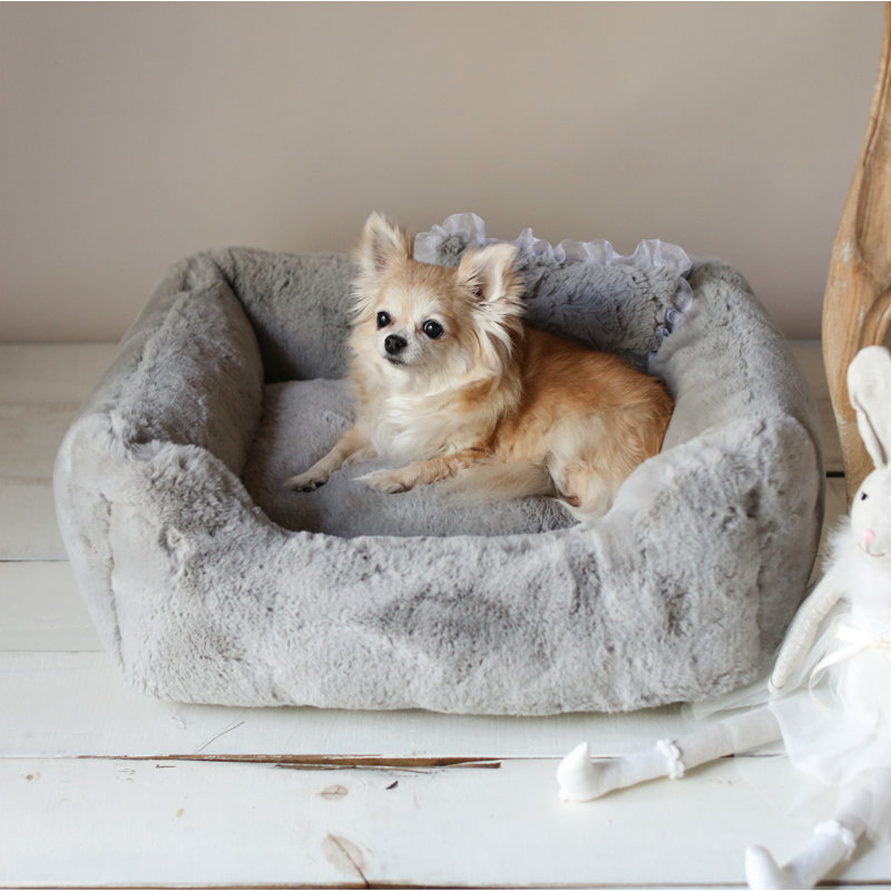 Traversin Josia Divine Dog, Gris colombe
