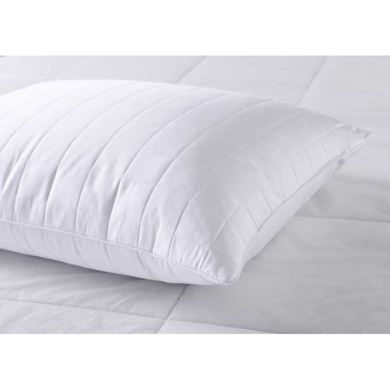 Coussin de support moyen Deleon, Géant