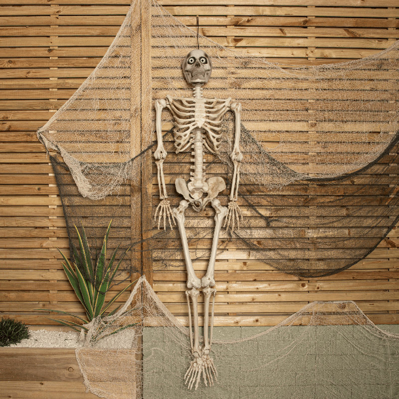 Anaum Decorative Accent