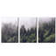 3 Piece Wrapped Canvas Print-1643901466
