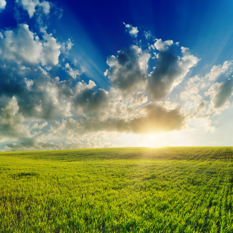 «Green Field» par Mycola - Photographie sur toile tendue, L 12 po x H 12 po