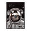 « astronaute sloth selfie », art-49839844-49839854