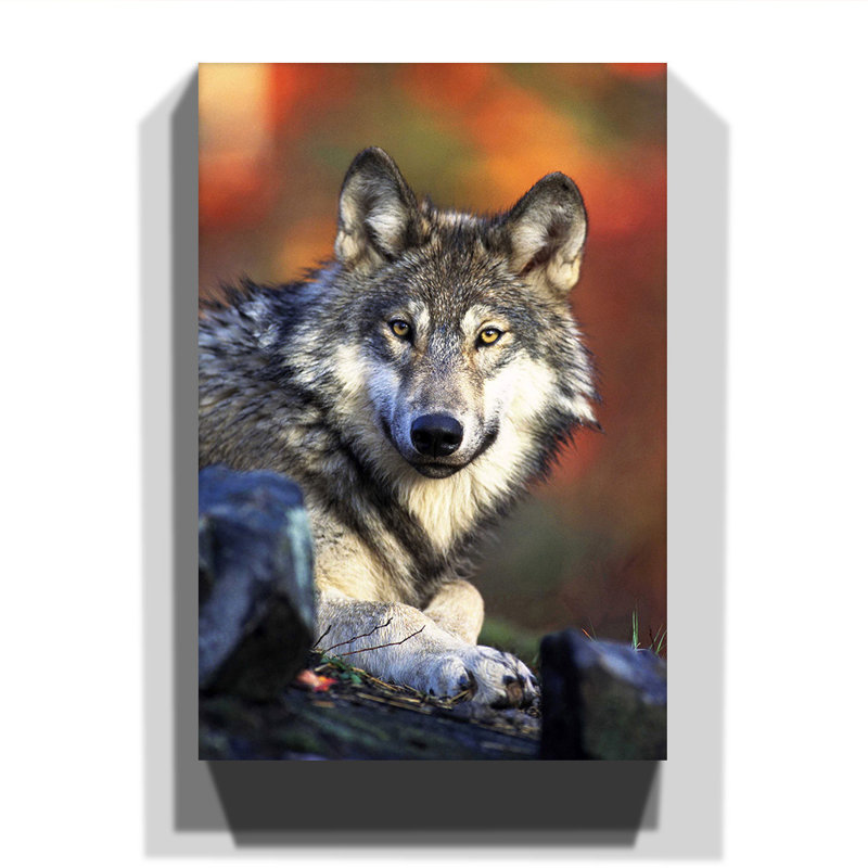 Wrapped Canvas Print, 76cm H x 50cm W