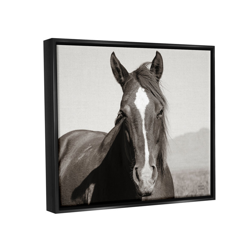 «Millwood Pines Windblown Stallion Portrait», art mural encadré par Nathan Larson, H 17 po x l 21 po x P 1,7 po