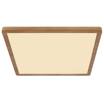 Plastic LED Flush Mount