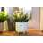 9.5'' Faux Eucalyptus Plant in Ceramic Pot