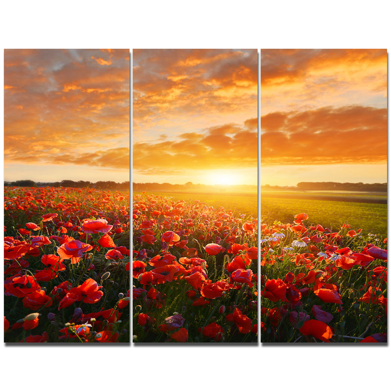 « belle », reproduction de photo à multiples images sur toile