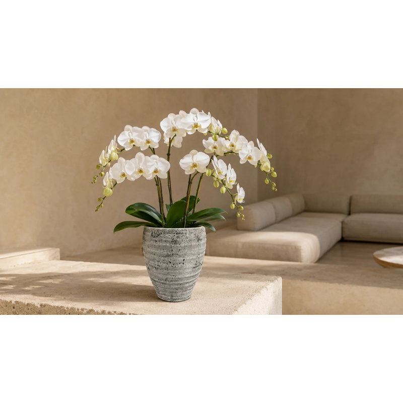 Olya Textured Barrel-Style Cement Planter
