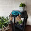 Guirlande Coastal Blue-135271509