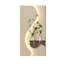 Art mural crème Creamy Water Plant - décor de vestibule moderne en grès-1725129364