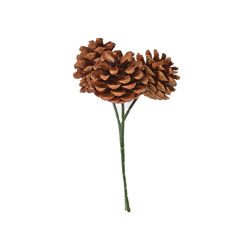 Cône de pin, Naturel