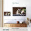 Corbeau au repos tigre blanc-111834023