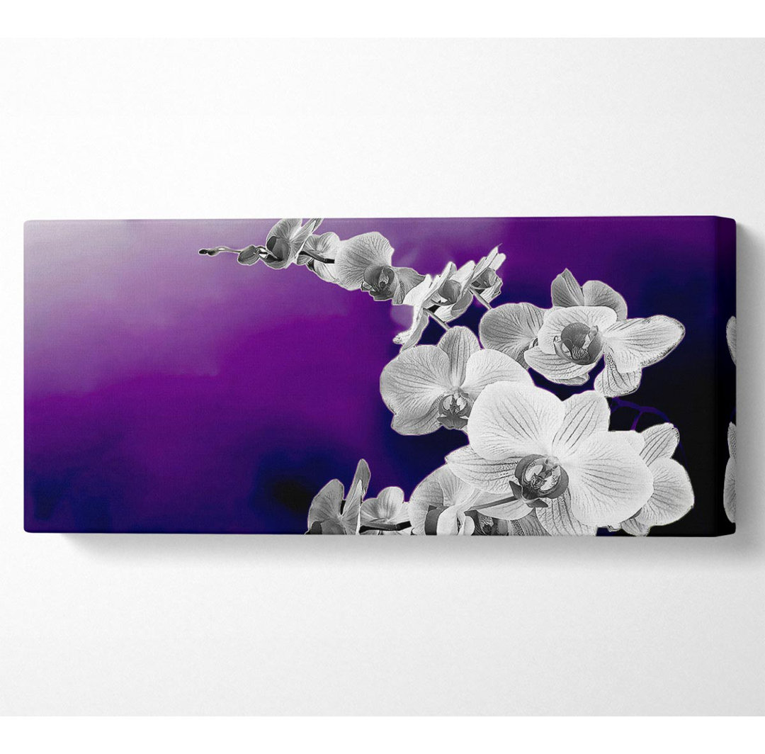 Snap Dragon Purple B N W - Panorama-Kunstdrucke auf Canvas-Leinwand