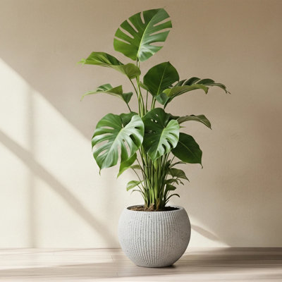  Marlo Fiberstone Round Planter (14.6" Pot Opening x 21.3"D x 16.5"H) Ribbed Finishes, Lightweight, Durable, UV Resistant, Modern Minimalist Home Decor, Indoor Outdoor Pot (L, Ribbed White)